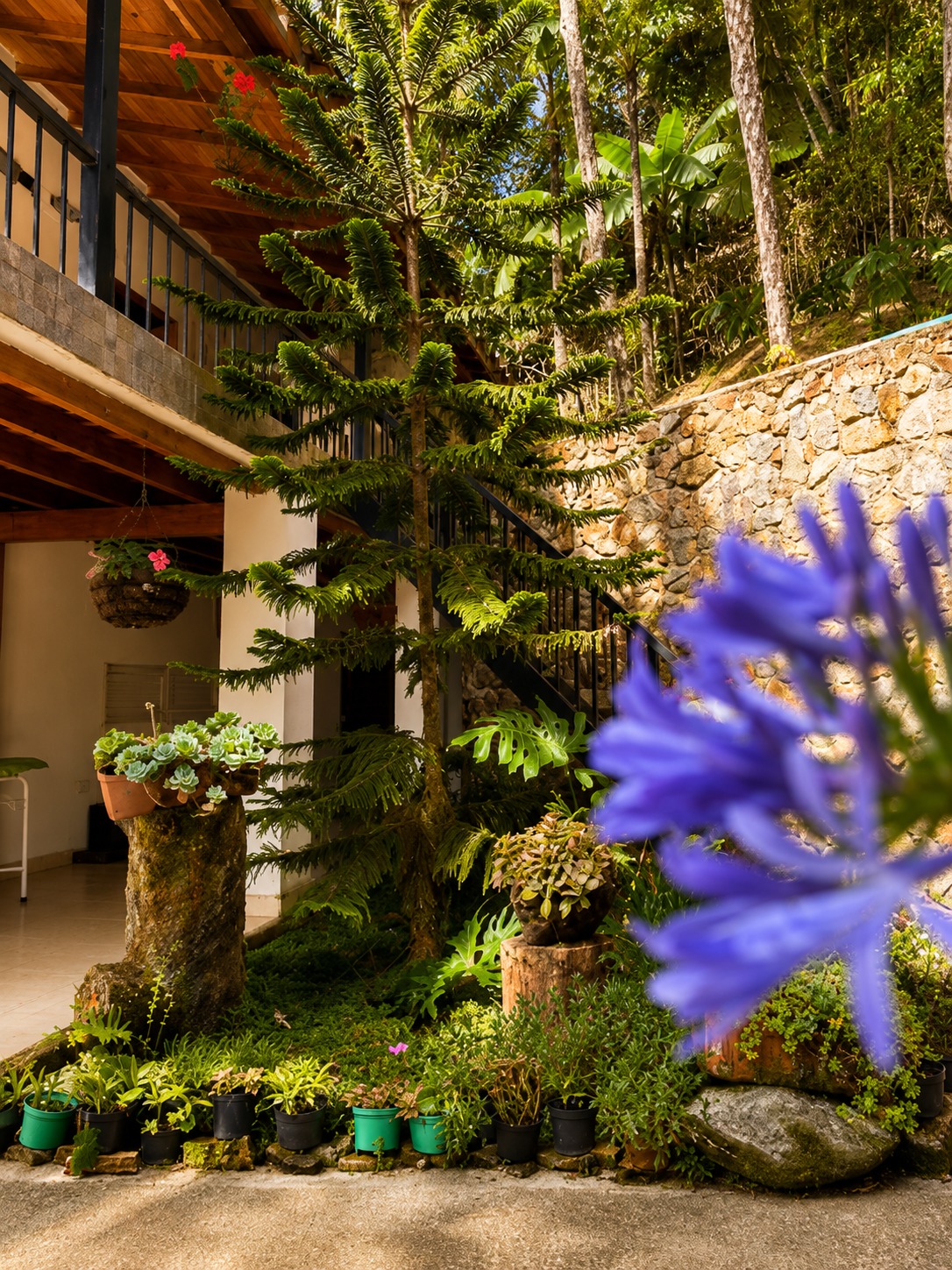 Jardines