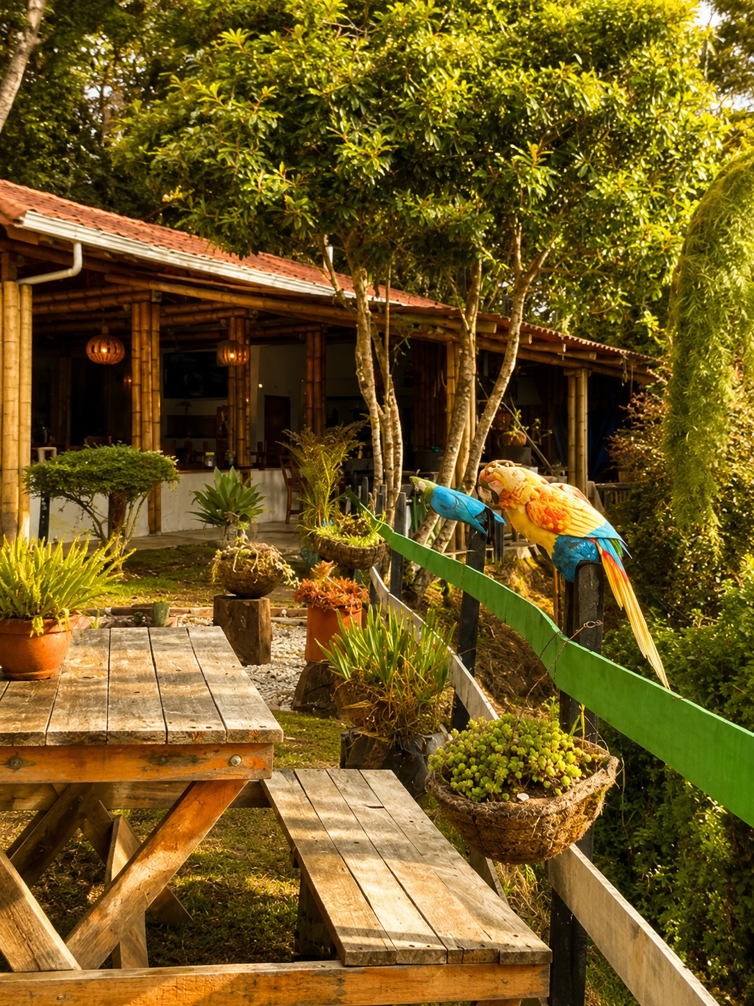Terraza