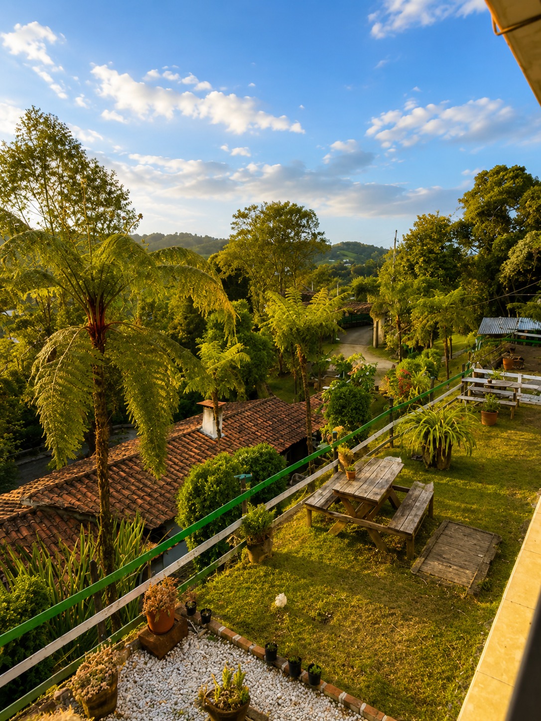 Vista panorámica